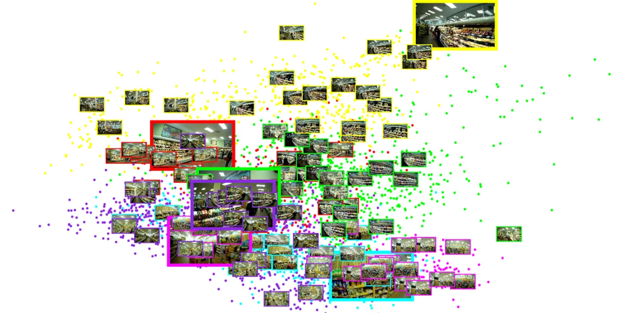 ECO egocentric cognitive mapping project preview